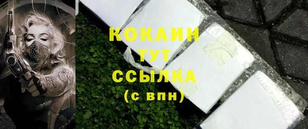 хмурый Лагань