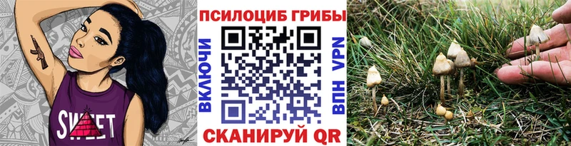 нарко площадка наркотические препараты  Оленегорск  Псилоцибиновые грибы ЛСД  как найти закладки 